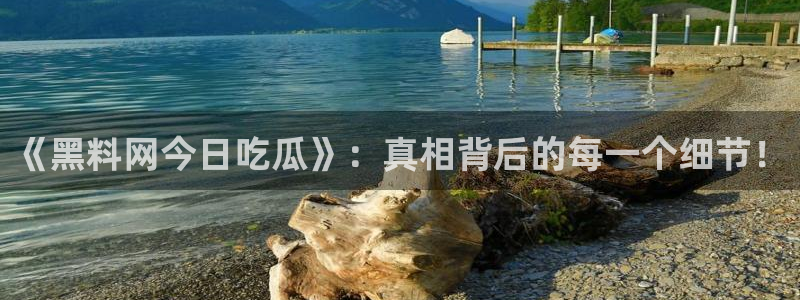 51吃瓜网今日榜单：《黑料网今日吃瓜》：真相背后的每一个细节！