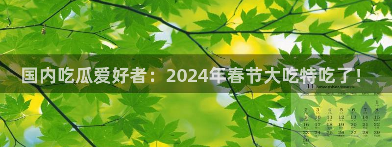 51吃瓜网小鹿酱：国内吃瓜爱好者：2024年春节大吃特吃了！