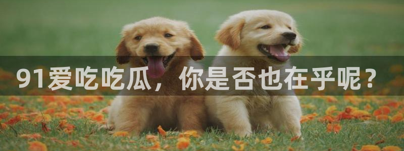 吃瓜最新：91爱吃吃瓜，你是否也在乎呢？