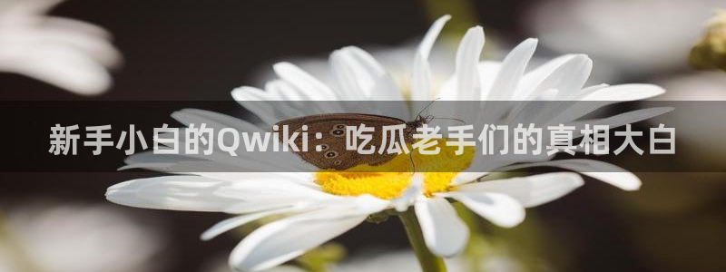 51cg每日吃瓜：新手小白的Qwiki：吃瓜老手们的真相大白