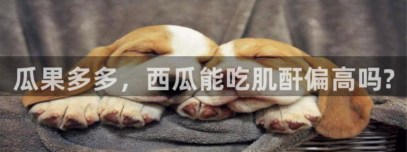 91今日吃瓜热门大瓜：瓜果多多，西瓜能吃肌酐偏高吗?