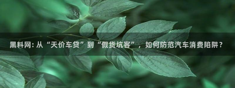 黑料:黑料网: 从“天价车贷”到“假货坑客”,如何防范汽车消费陷阱?