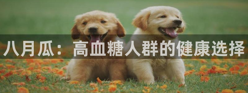 吃瓜小说