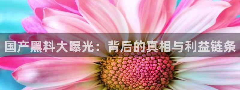 51cgfun每日吃瓜:国产黑料大曝光:背后的真相与利益链条