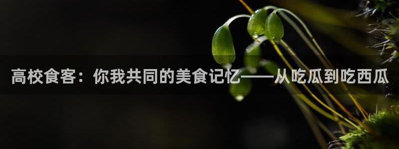 番茄和茄瓜能一起吃吗：高校食客：你我共同的美食记忆——从吃瓜到吃西瓜