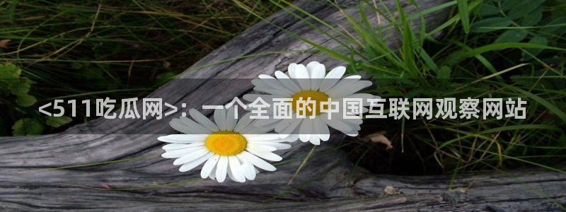 51吃瓜今日吃瓜在线：<511吃瓜网>：一个全面的中国互联网观察网站