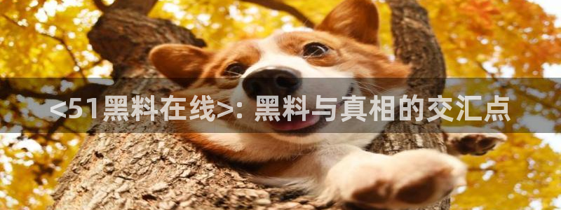51吃瓜安卓下载