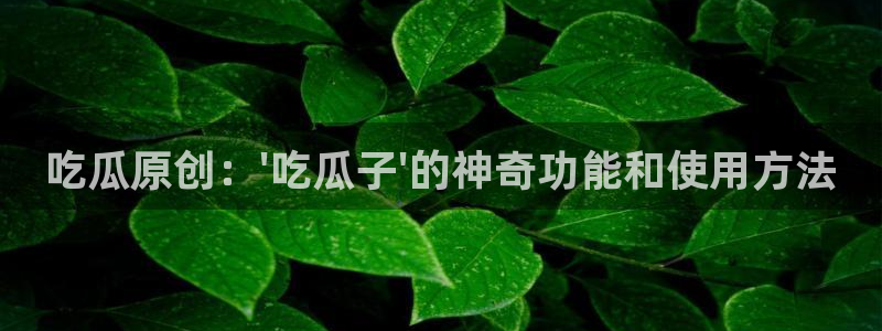 51吃瓜全网更新最快的吃瓜网：吃瓜原创：\'吃瓜子\'的神奇功能和使用方法