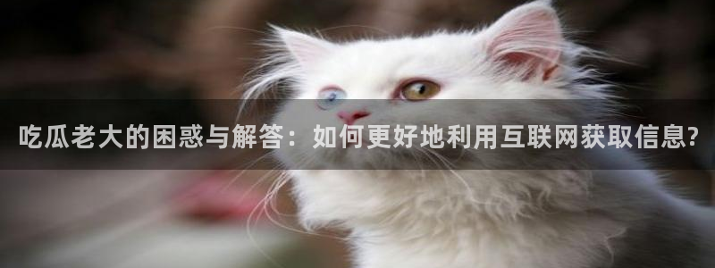 黑料揭秘：吃瓜老大的困惑与解答：如何更好地利用互联网获取信息?