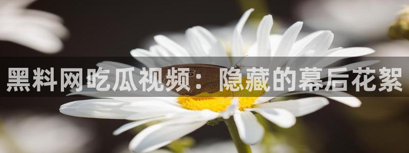718.sⅹ 吃瓜：黑料网吃瓜视频：隐藏的幕后花絮