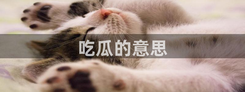 51吃瓜网今日吃瓜热门大瓜：吃瓜的意思