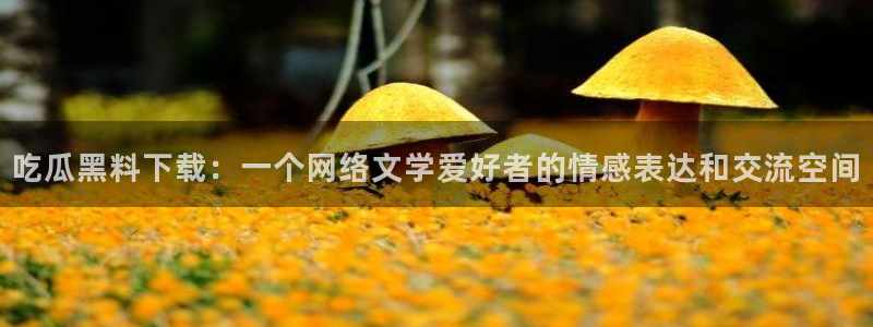 吃瓜吃到自己的死讯：吃瓜黑料下载：一个网络文学爱好者的情感表达和交流空间