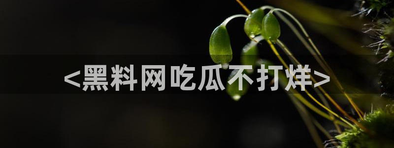 51吃瓜网ccgg：<黑料网吃瓜不打烊>