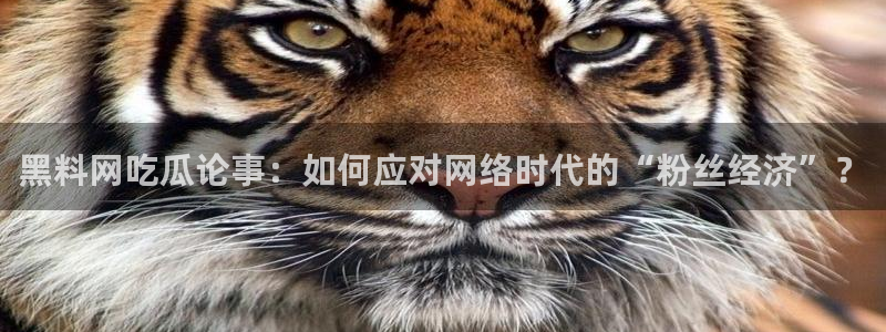 板栗瓜怎样做最好吃：黑料网吃瓜论事：如何应对网络时代的“粉丝经济”？