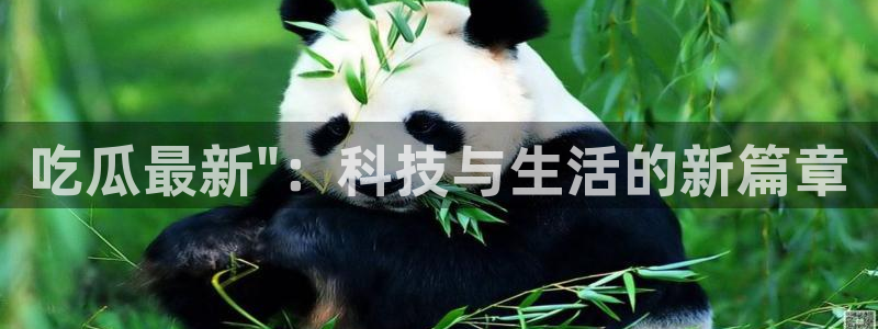 51吃瓜热心张津瑜：吃瓜最新\