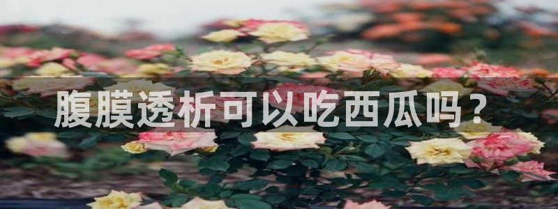 吃瓜小说：腹膜透析可以吃西瓜吗？