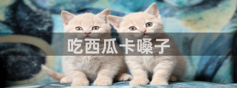91吃瓜网今日吃瓜入口:吃西瓜卡嗓子