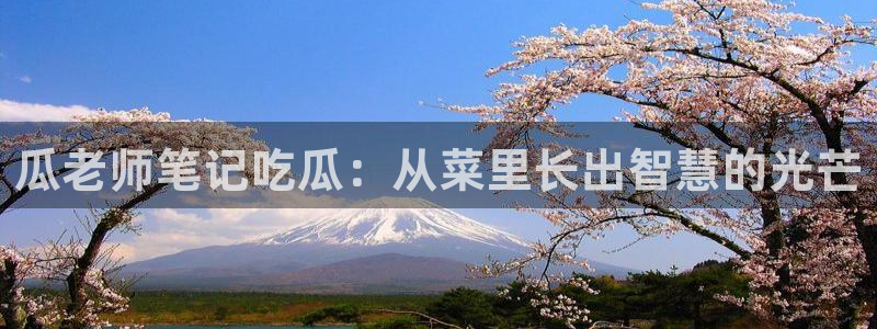 51今日吃瓜热门大瓜入口：瓜老师笔记吃瓜：从菜里长出智慧的光芒