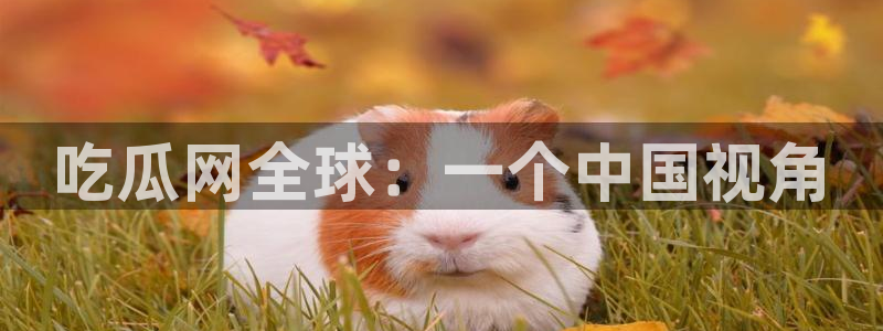 吃瓜网 今日吃瓜 热门大瓜：吃瓜网全球：一个中国视角